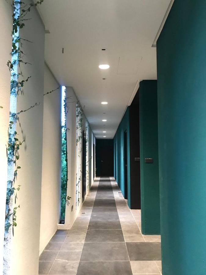 둥허 La Tree 普椿農場木子莊園 아파트 외부 사진