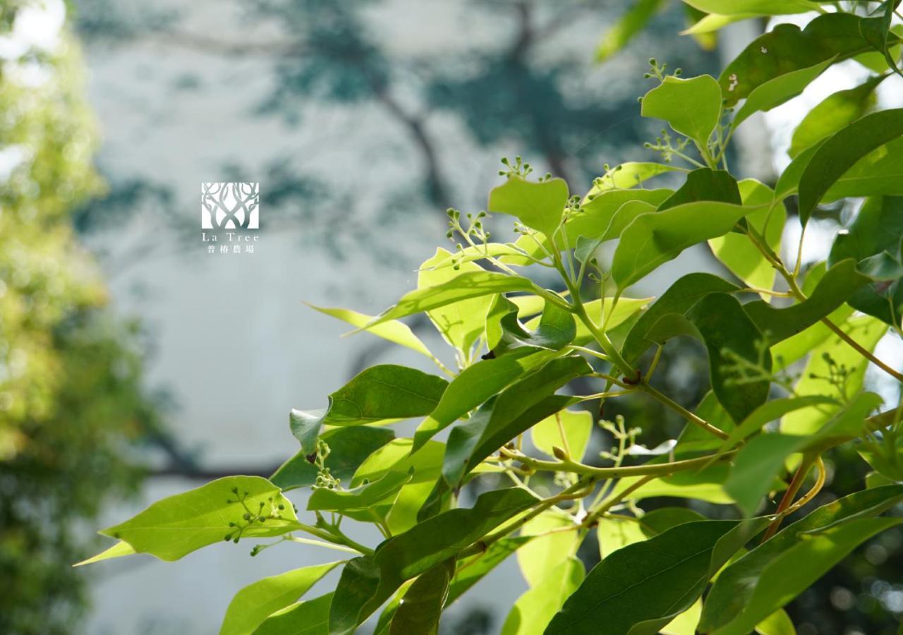 둥허 La Tree 普椿農場木子莊園 아파트 외부 사진