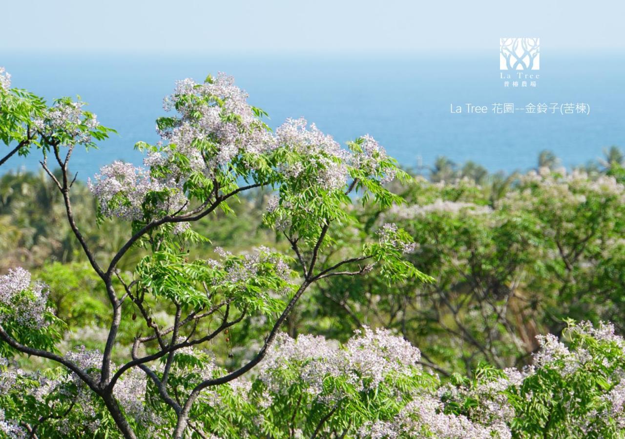 둥허 La Tree 普椿農場木子莊園 아파트 외부 사진