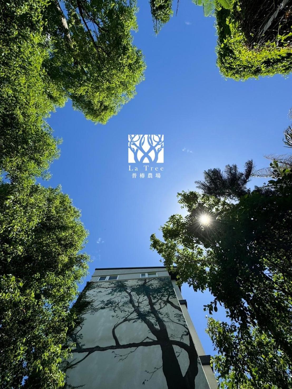 둥허 La Tree 普椿農場木子莊園 아파트 외부 사진